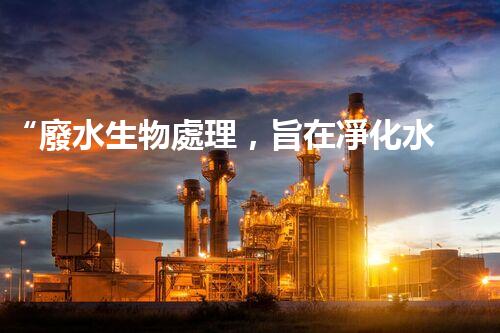 “廢水生物處理，旨在凈化水源，守護(hù)碧水藍(lán)天”